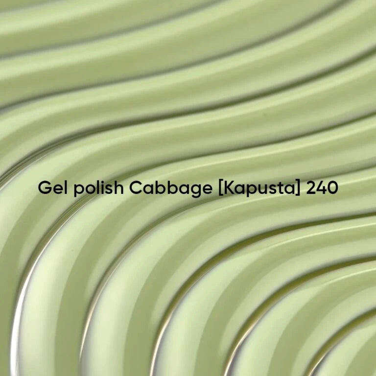 CABBAGE 240