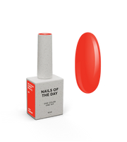 Carrot (morkva) 219